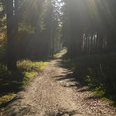 Ferienwohnung Oberharz