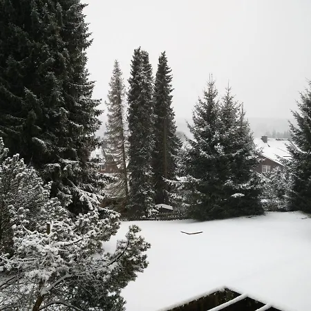 Apartment Ferienwohnung Oberharz *